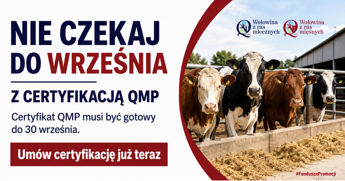 QMP_certyfikacja