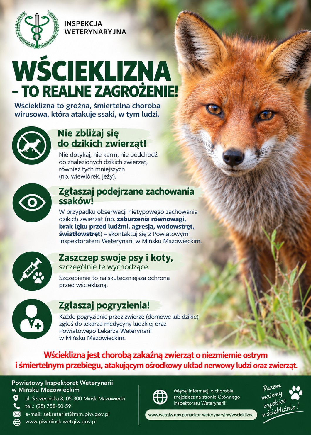 wscieklizna-plakat