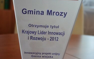 Krajowy Lider Innowacji i Rozwoju 2012 - Statuetka