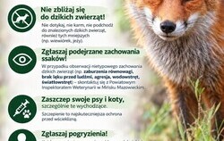 Zdjęcie do Wścieklizna &ndash; Informacja Powiatowego Lekarza...