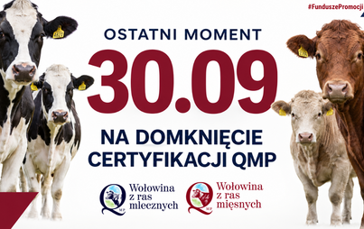 Zdjęcie do Certyfikat QMP &mdash; termin uzyskania upływa 30 września 2026 r.